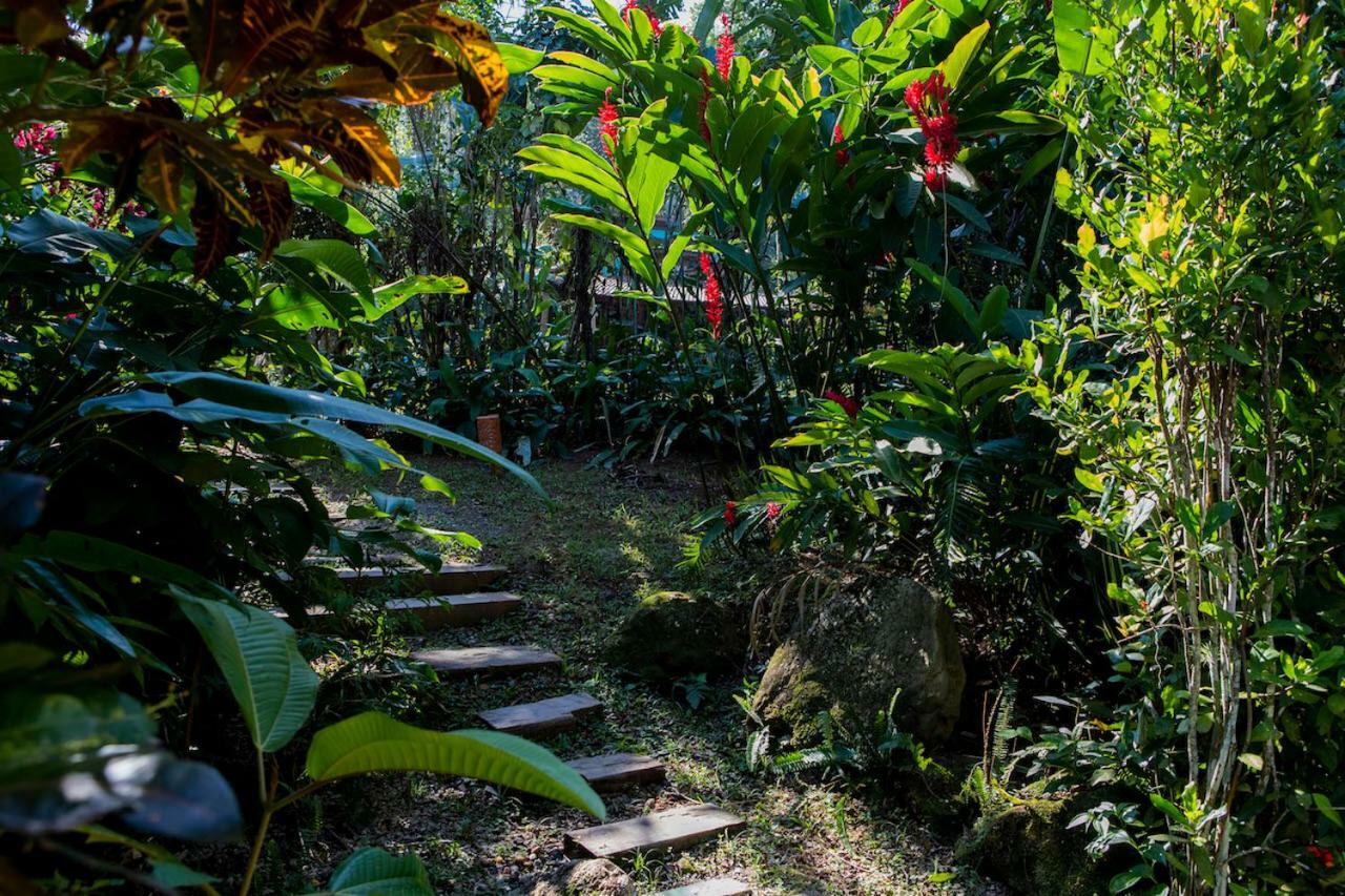 Casa Ka Pensión